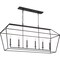 Quoizel Aviary Linear Chandelier AVY654PN - alternate 1